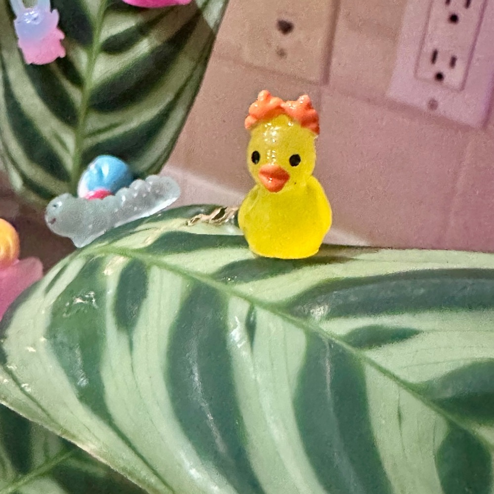 🍃10 pack DUCK PALS PLANT MAGNETS!🍃 - Picture 2 of 3
